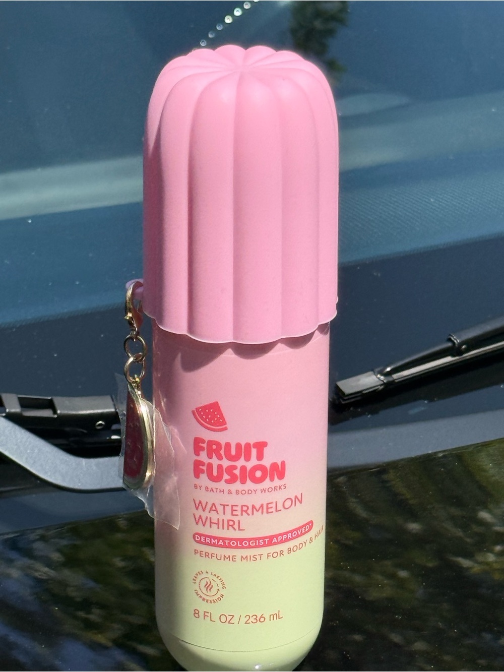 Bath & Body Works Pink & Light Green Fruit Fusion Watermelon Whirl Travel Mist